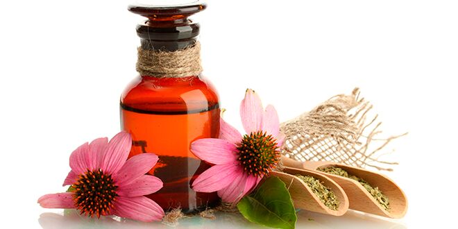 nutricion-dietista-control-peso-malaga-vanesa-delgado-terapia-floral